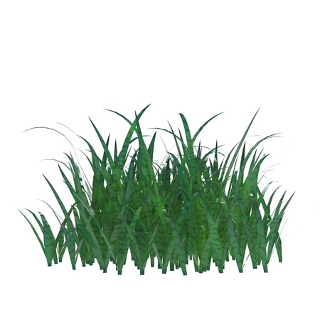 This is a 3d illustration of grass の写真素材