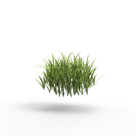 This is a 3d illustration of grass の写真素材