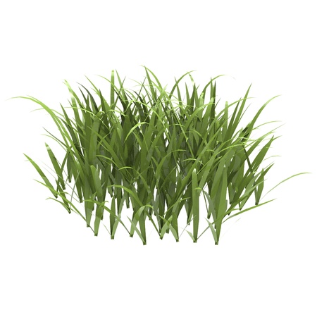 This is a 3d illustration of grass の写真素材
