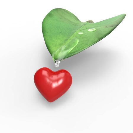 Vegtalove,About love and natureの写真素材