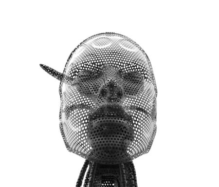 Cyborgirl,This is a vision of women in futur の写真素材