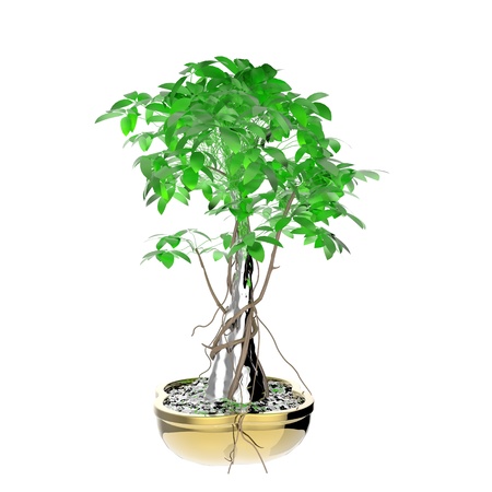 This is a 3d illustration of a bonzai の写真素材