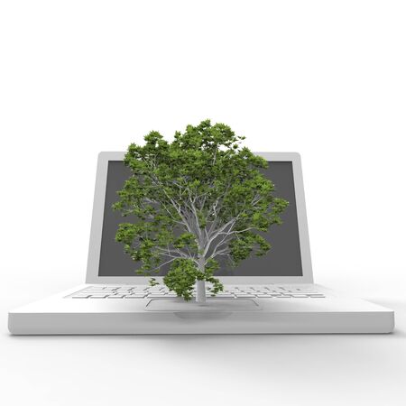  3d illustration of a tree growing on a laptopの写真素材
