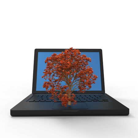  3d illustration of a tree growing on a laptopの写真素材