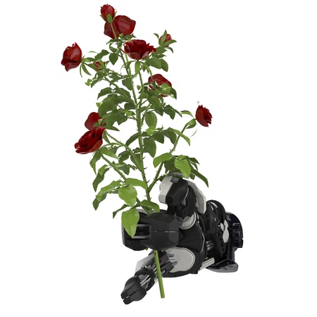 A Roses flower in a robotic hand の写真素材