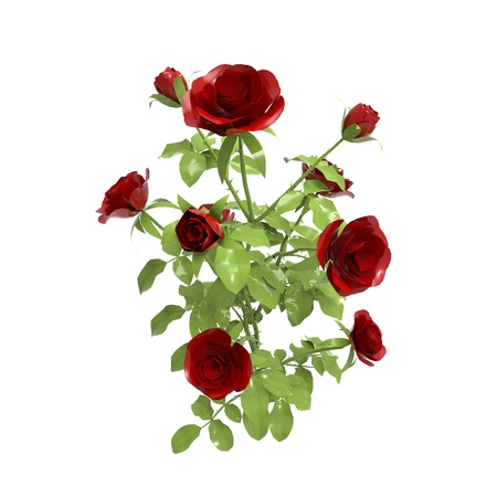 Illustration of roses の写真素材