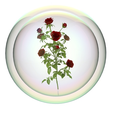 Illustration of roses の写真素材