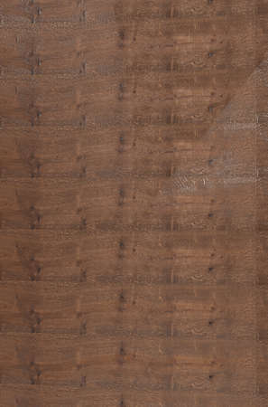 Wood backgroundの写真素材