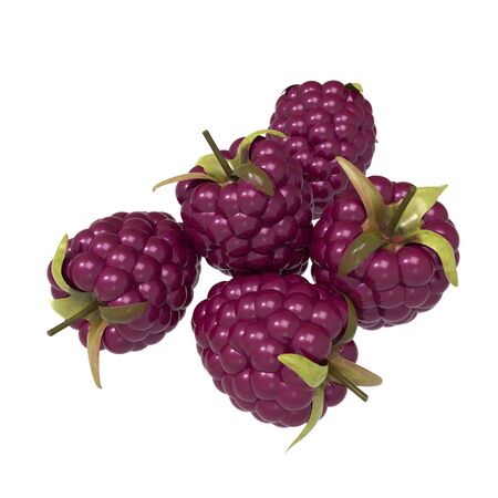  Raspberries on white backgroundの写真素材