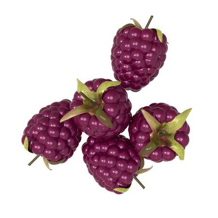  Raspberries on white backgroundの写真素材