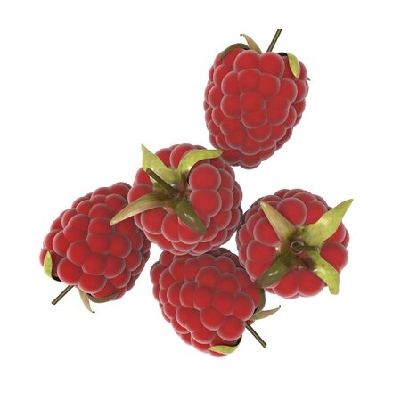  Raspberries on white backgroundの写真素材