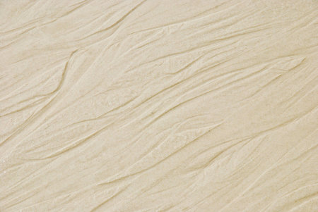 Patternの写真素材