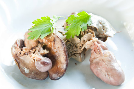 Gizzardの写真素材