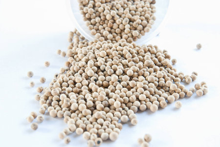 White pepperの写真素材