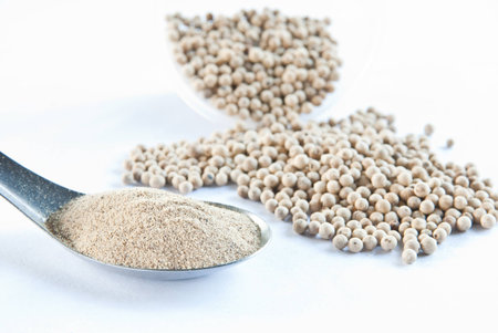 White pepperの写真素材