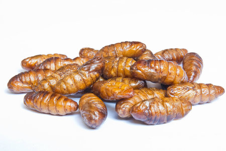 Thai Insect food,pupaの写真素材