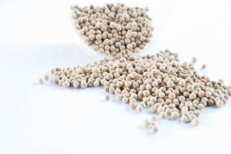 White pepperの写真素材