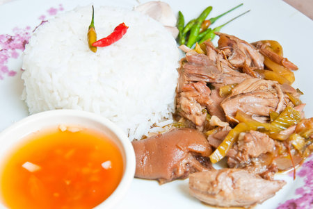 Pork leg riceの写真素材