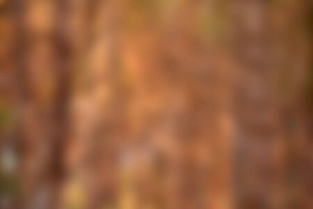 Image blur for beautiful backgroundの写真素材