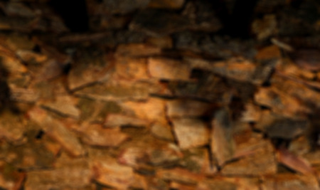 blurred background and wallpaperの写真素材