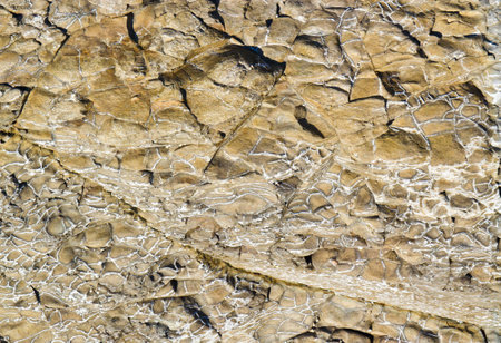 Nature stone background, close up view.の写真素材