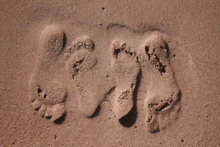 footprints in the sandの写真素材