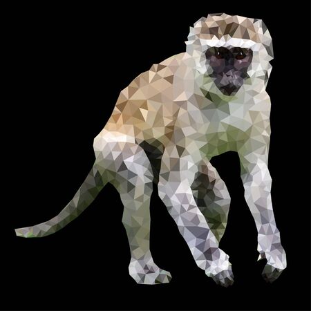 vector polygonal illustration of wild monkey isolatedのイラスト素材