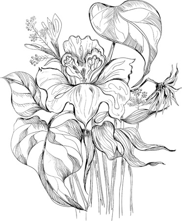 blac and white sketch illustration of bouquetの写真素材