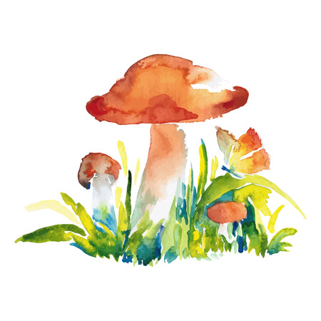 watercolor colored illustration of orange-cap boletus mushrooms with butterflyのイラスト素材