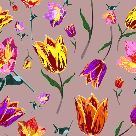 Seamless colored tulipsの写真素材