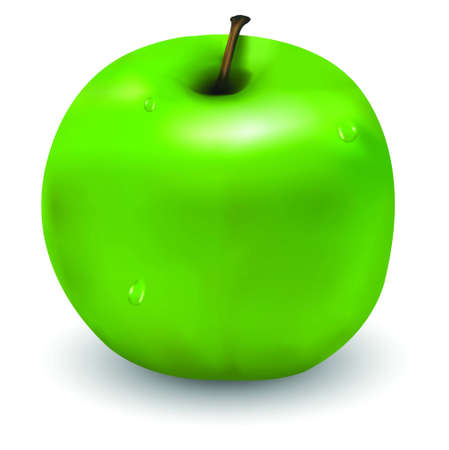 Tasty green apple with few waterdrops on itのイラスト素材