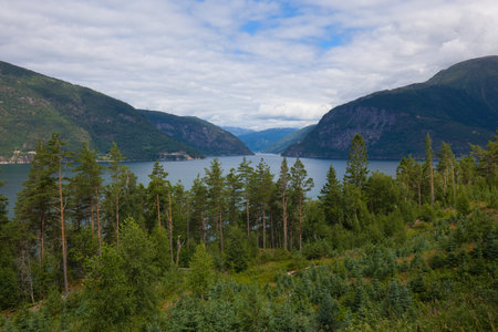 Landscape at the Hardangerfjord near Utne in Norway.の写真素材