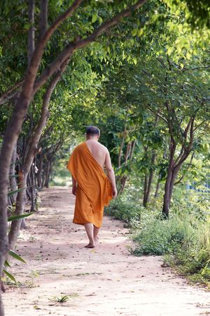 Buddhist monk の写真素材