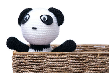 Panda yarnの写真素材
