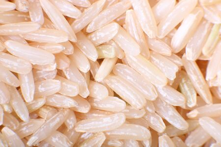 Brown riceの写真素材