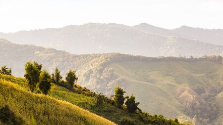 Layer of mountain and misty.の写真素材