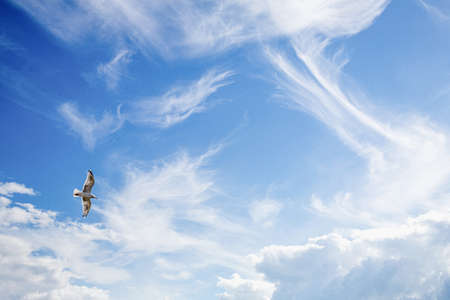 Beautiful blue sky clouds for background. Panorama of sky.の写真素材