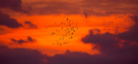 Low Angle View Of Sky At Sunsetの写真素材