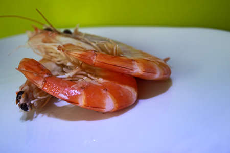 shrimp on a plateの写真素材