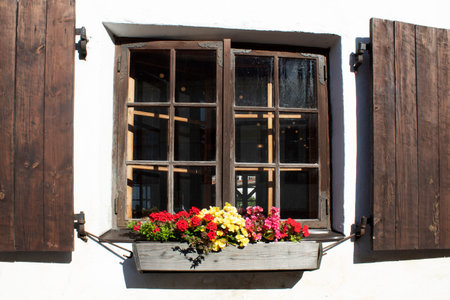 old window in the old wall