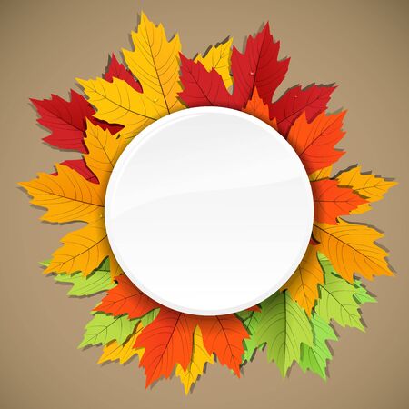 Maple leaves of different colors composition. ready for a textのイラスト素材