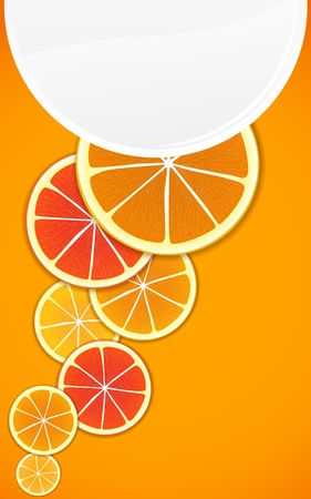 Citrus background. Ready for a textのイラスト素材