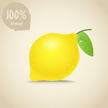 Cute fresh lemon illustrationのイラスト素材