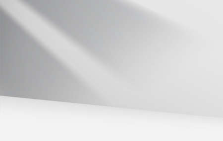 Bright room with shadow on the wall. 3d vector illustrationのイラスト素材