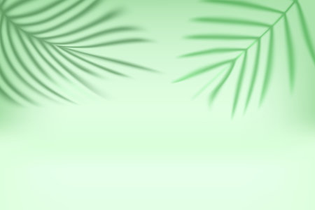 Bright interior with shadow of palm green leaves on the wall. 3d vector illustrationのイラスト素材