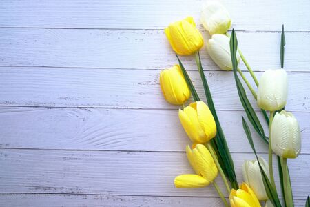 top view of tulip flower on white background .の写真素材