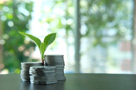 Close up of young plant growing through coins, investmentの写真素材