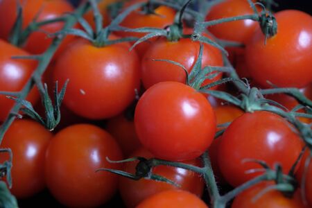 Close up of cherry tomato in a bowの写真素材