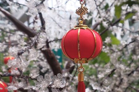 Chinese red lantern handing on tree. Chinese New Year of happinessの写真素材