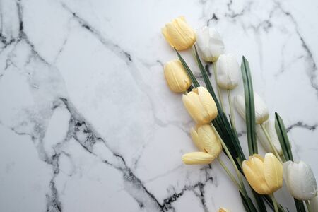 top view of tulip flowers on tiles backgroundの写真素材